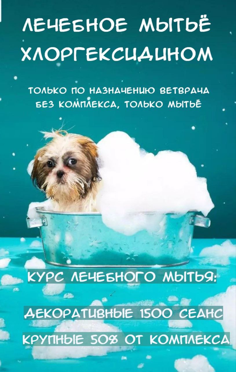 помыть собаку кошку хлоргекседином Речной вокзал беломорская петрозаводская онежская флотская Москва